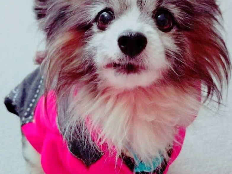 ジェイちゃん ジェイちゃん