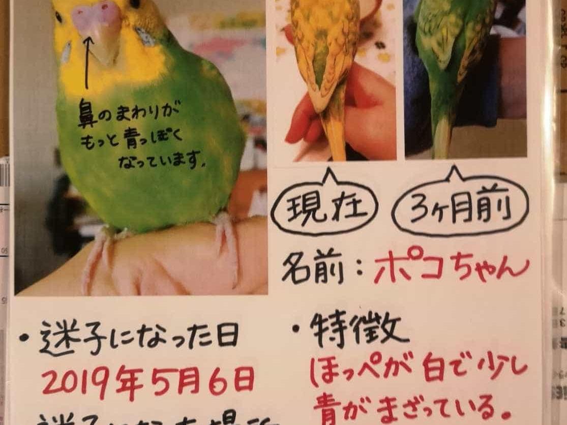 ポコちゃん ポコちゃん