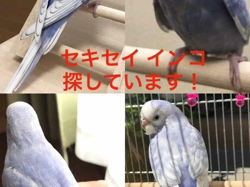 ハクちゃん ハクちゃん