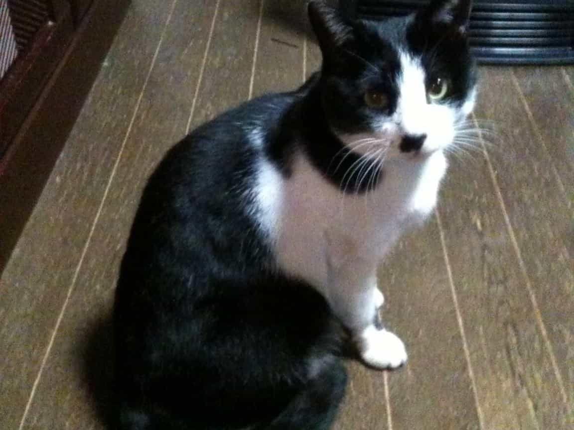 まみちゃん まみちゃん