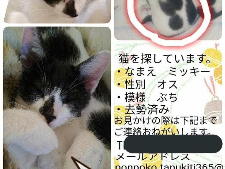 ミッキーちゃん ミッキーちゃん