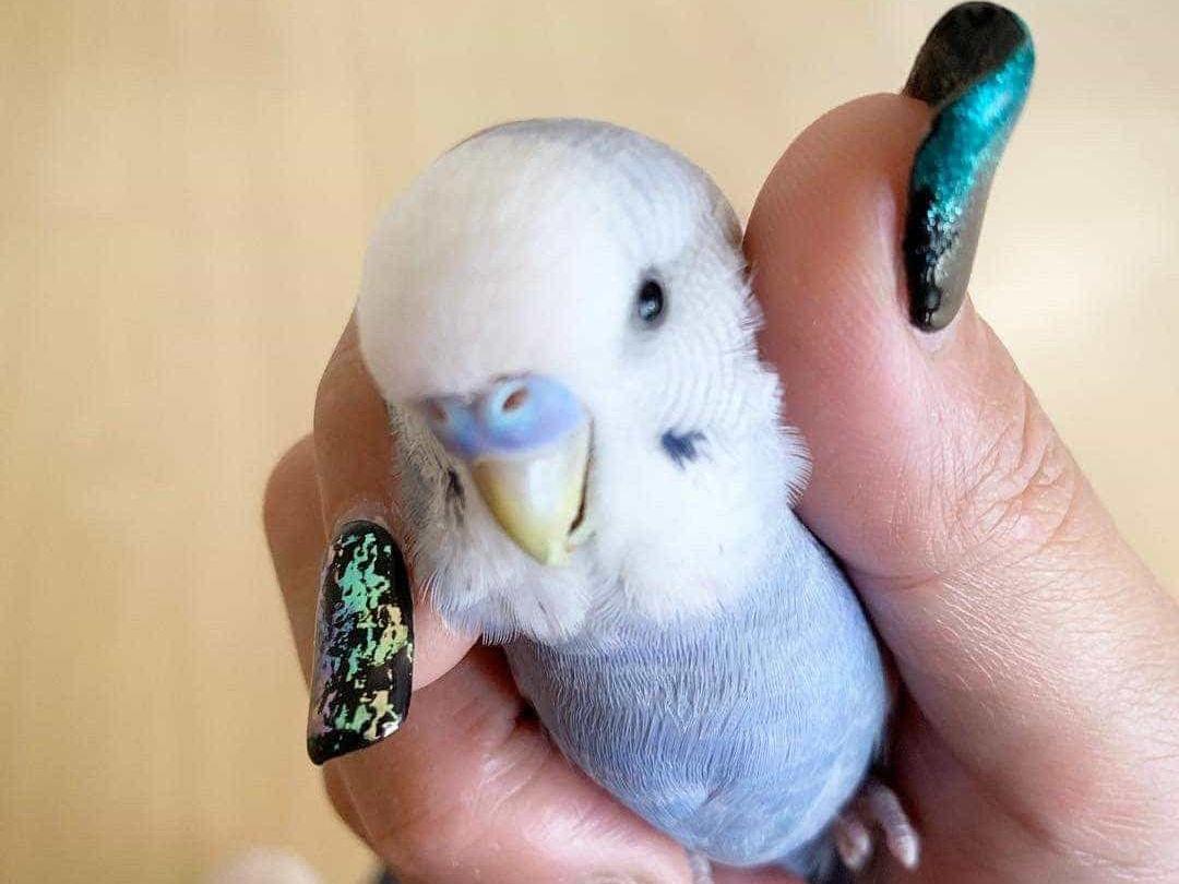 そらちゃん そらちゃん