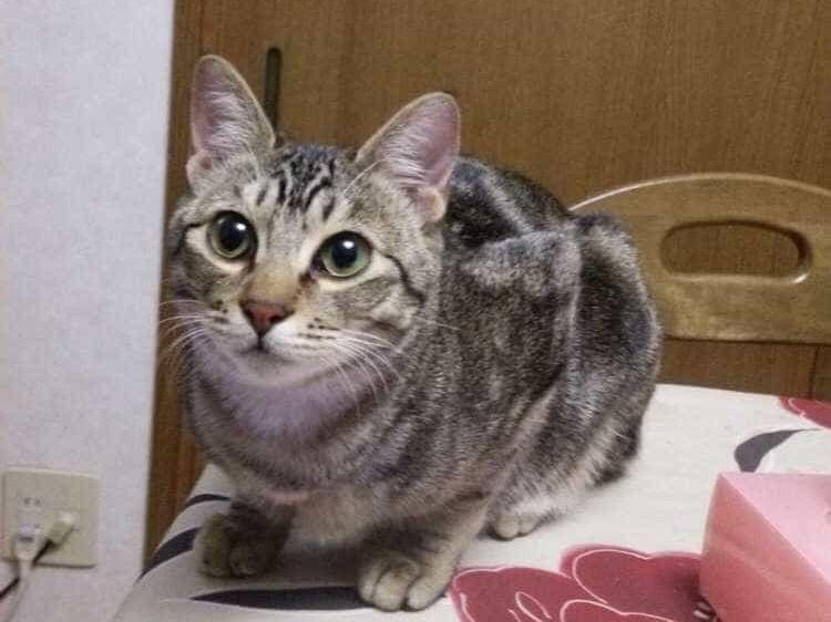 そらたんちゃん そらたんちゃん