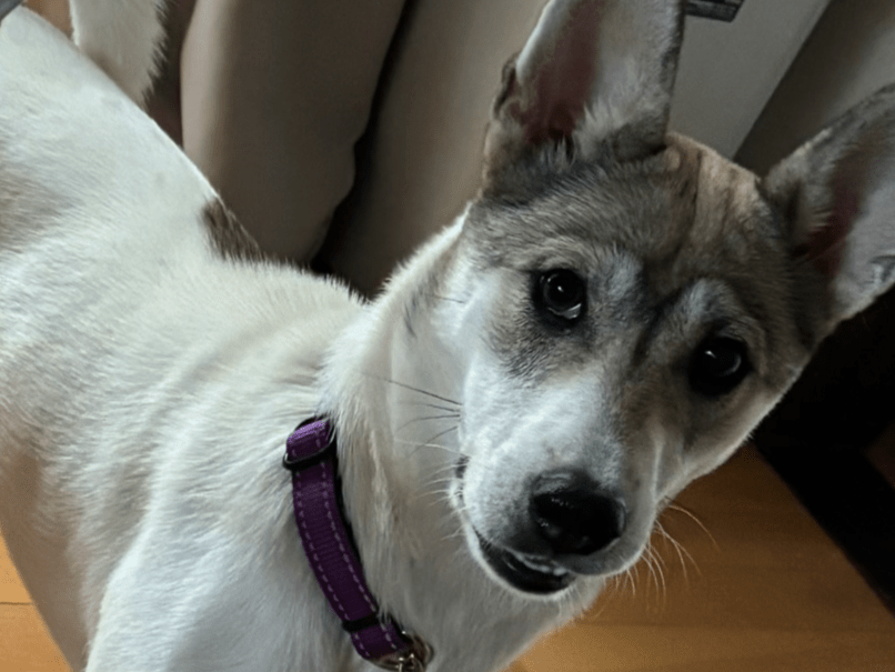 蓮ちゃん 蓮ちゃん