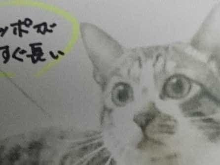 コジロウちゃん コジロウちゃん