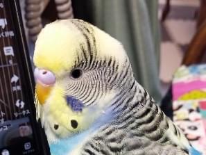 うめちゃん うめちゃん