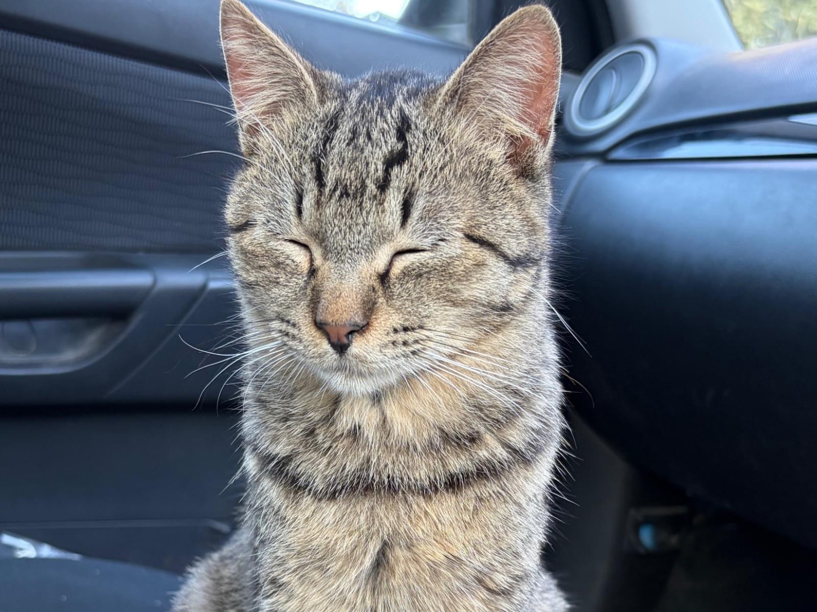 マーニャちゃん