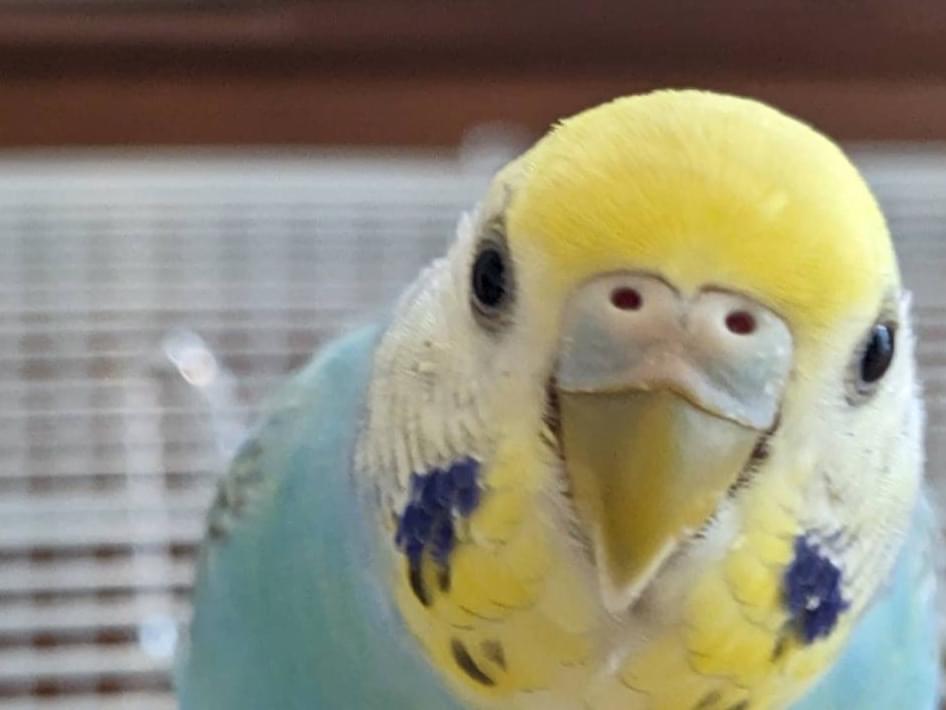 ひめちゃん ひめちゃん