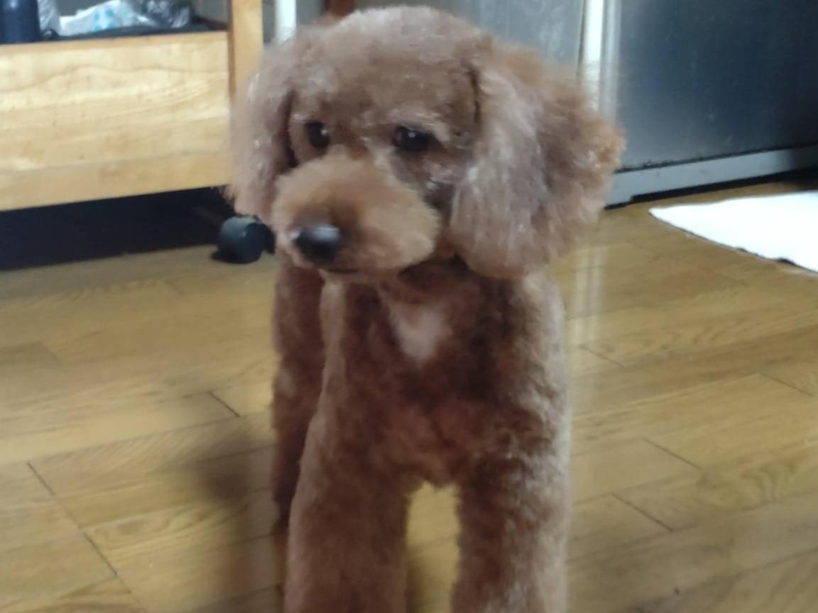 ニョッキちゃん