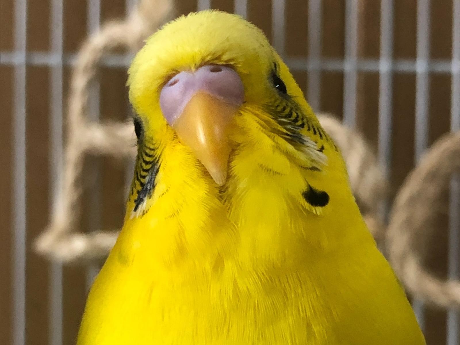 はるちゃん はるちゃん
