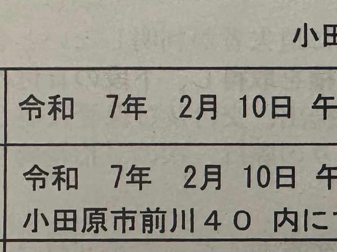 保護された鳥 保護された鳥