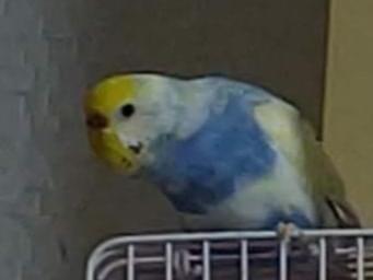 サンちゃん サンちゃん