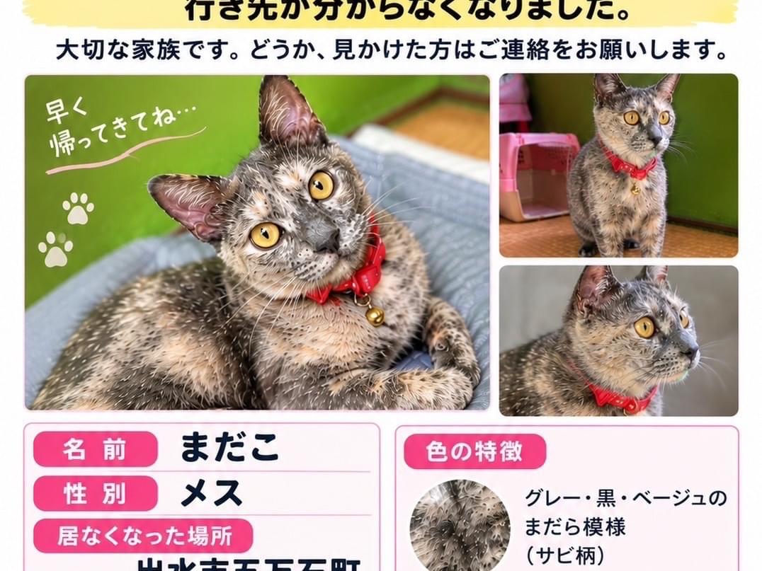 まだこちゃん まだこちゃん
