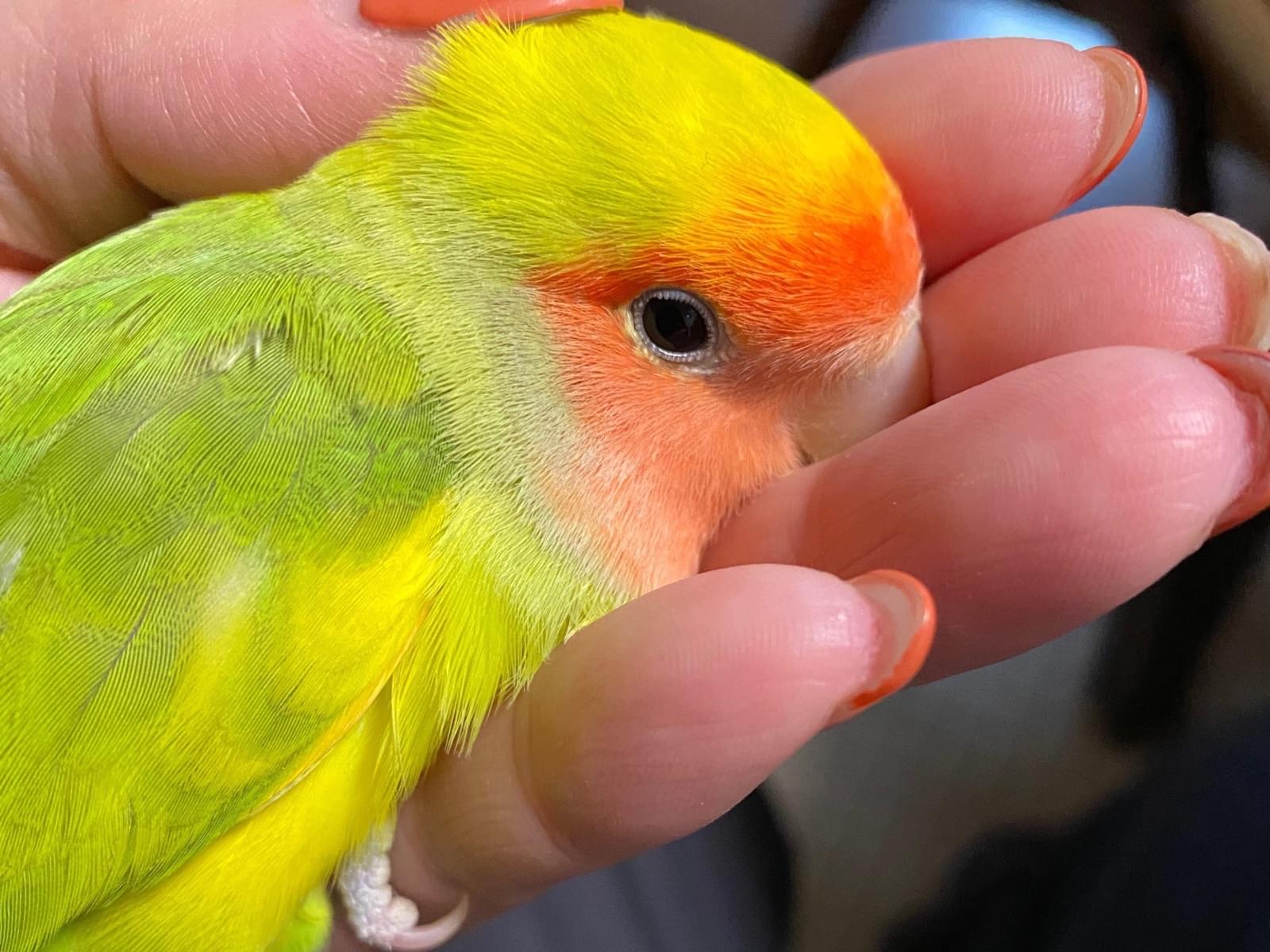 きゅうちゃん きゅうちゃん