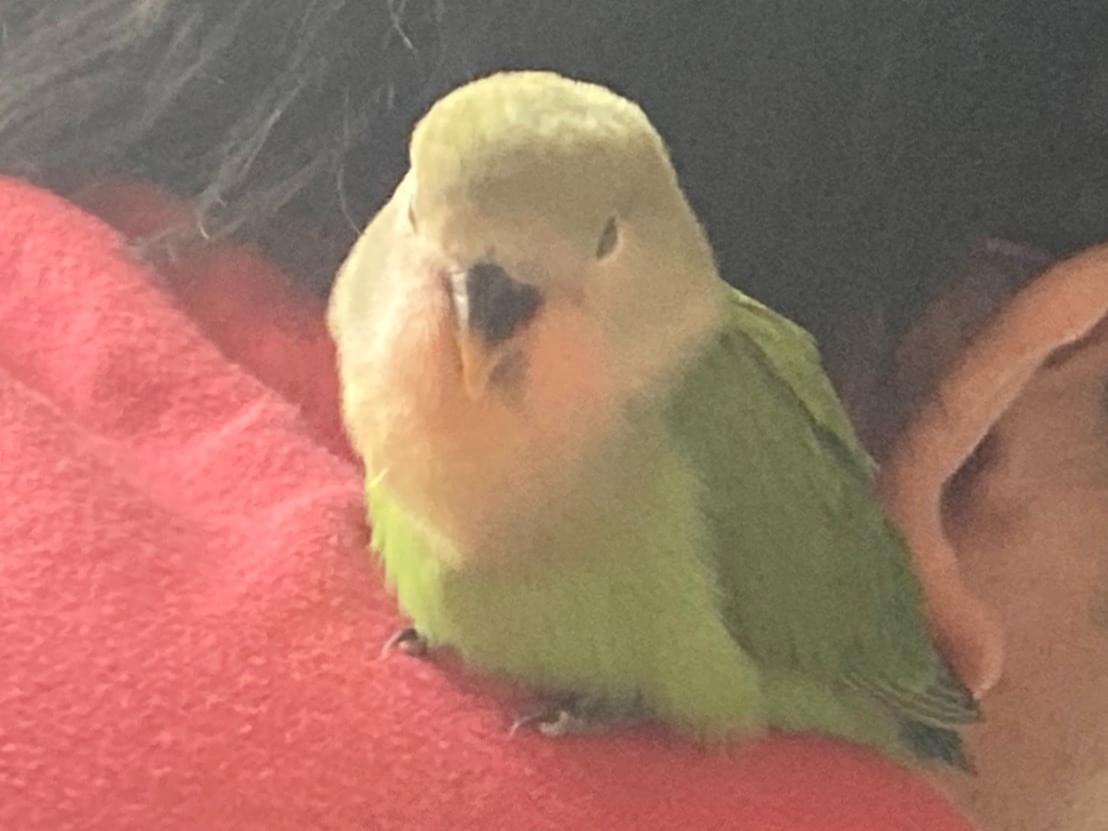 さくちゃん さくちゃん