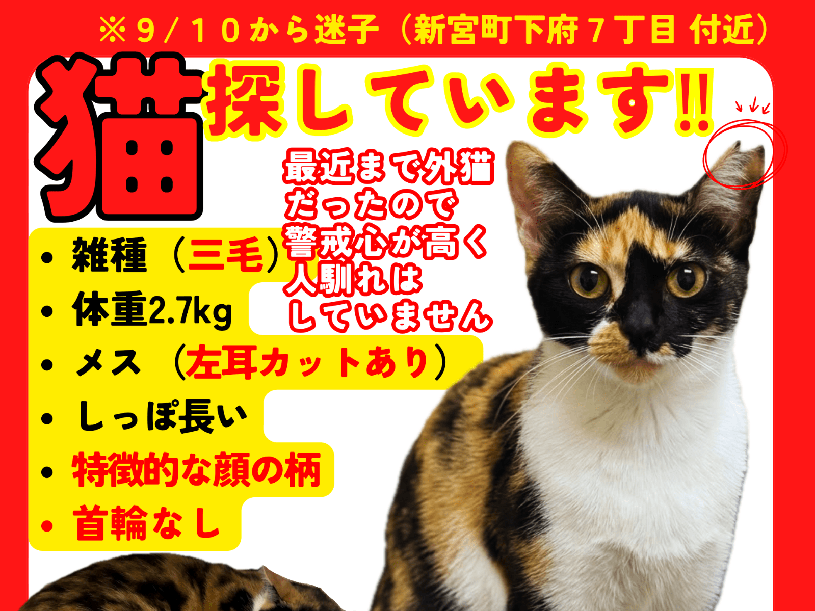 あかりちゃん あかりちゃん