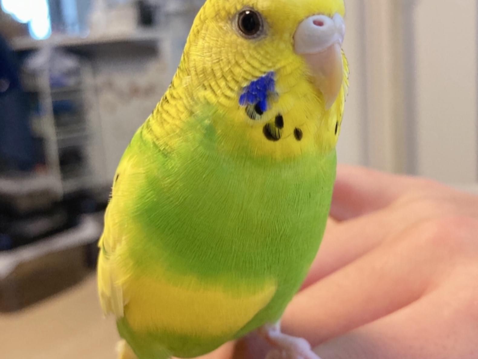 きーちゃん きーちゃん