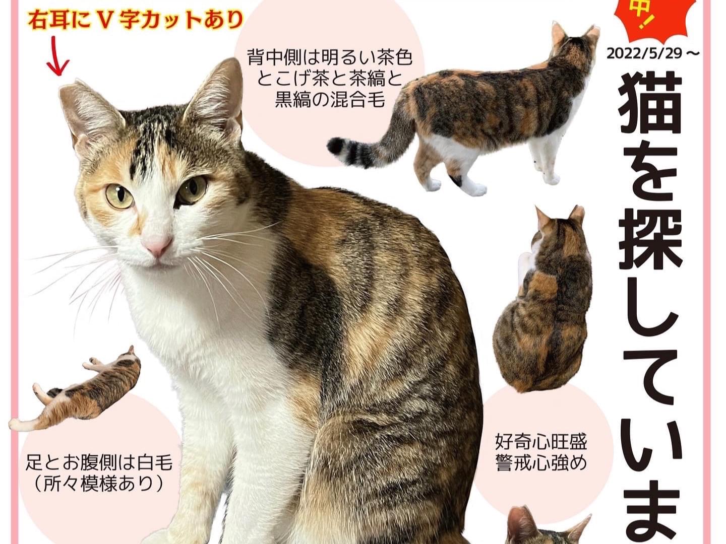 ふくちゃん ふくちゃん