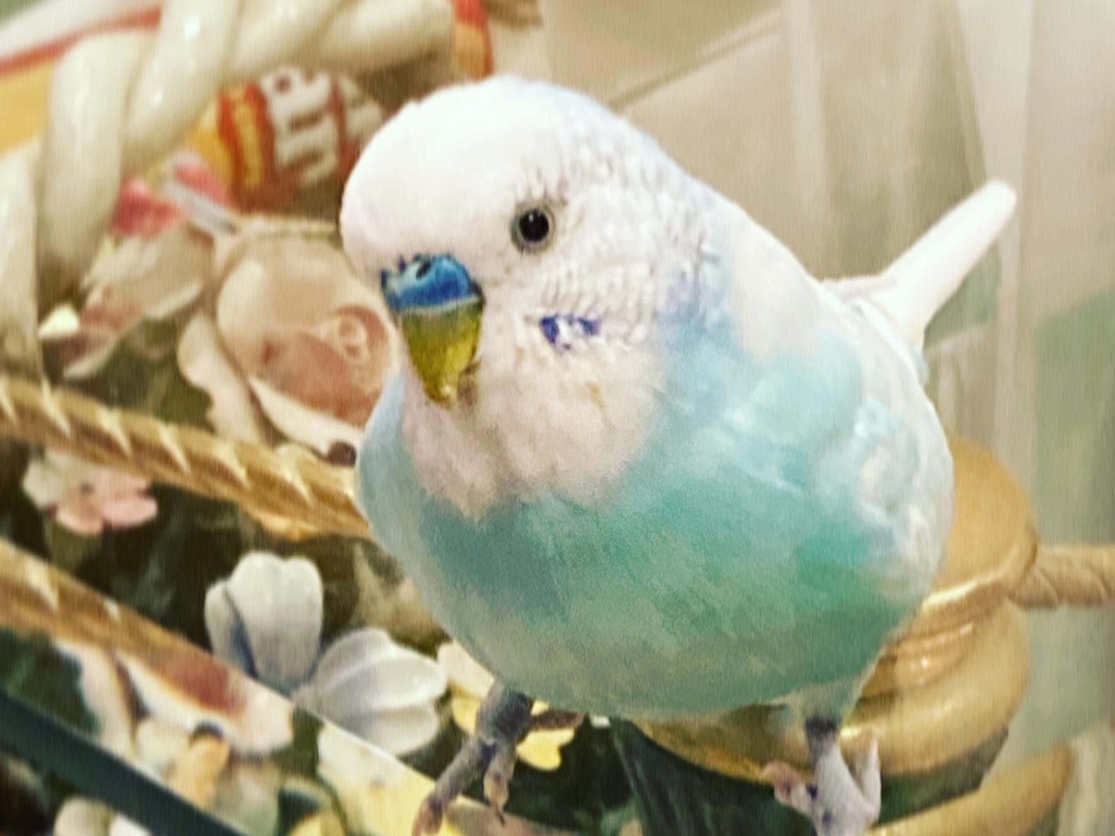 メイちゃん メイちゃん