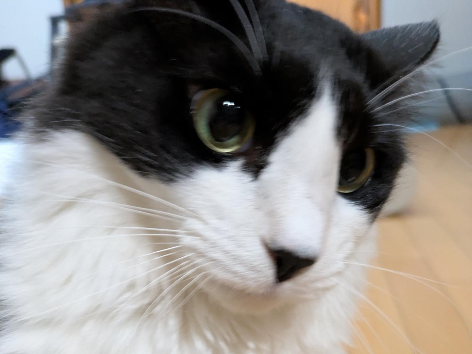 ナギちゃん ナギちゃん