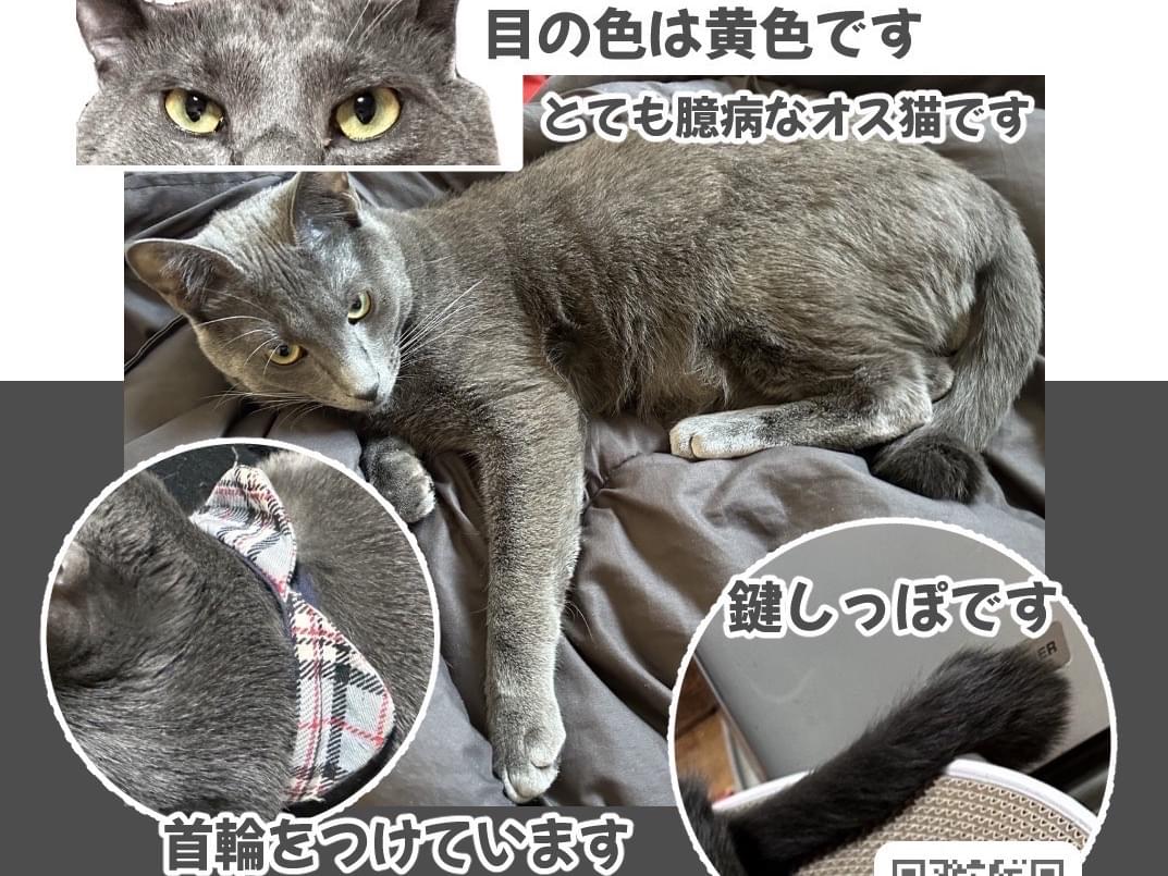 トノちゃん トノちゃん