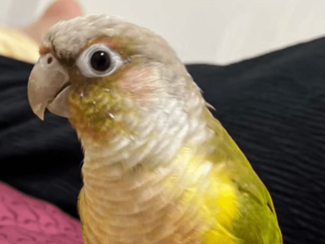 サンちゃん サンちゃん