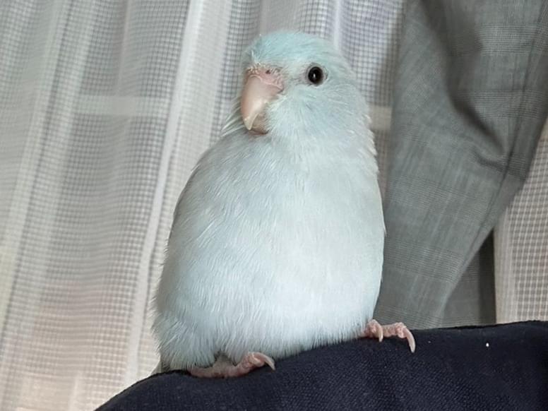 空ちゃん 空ちゃん