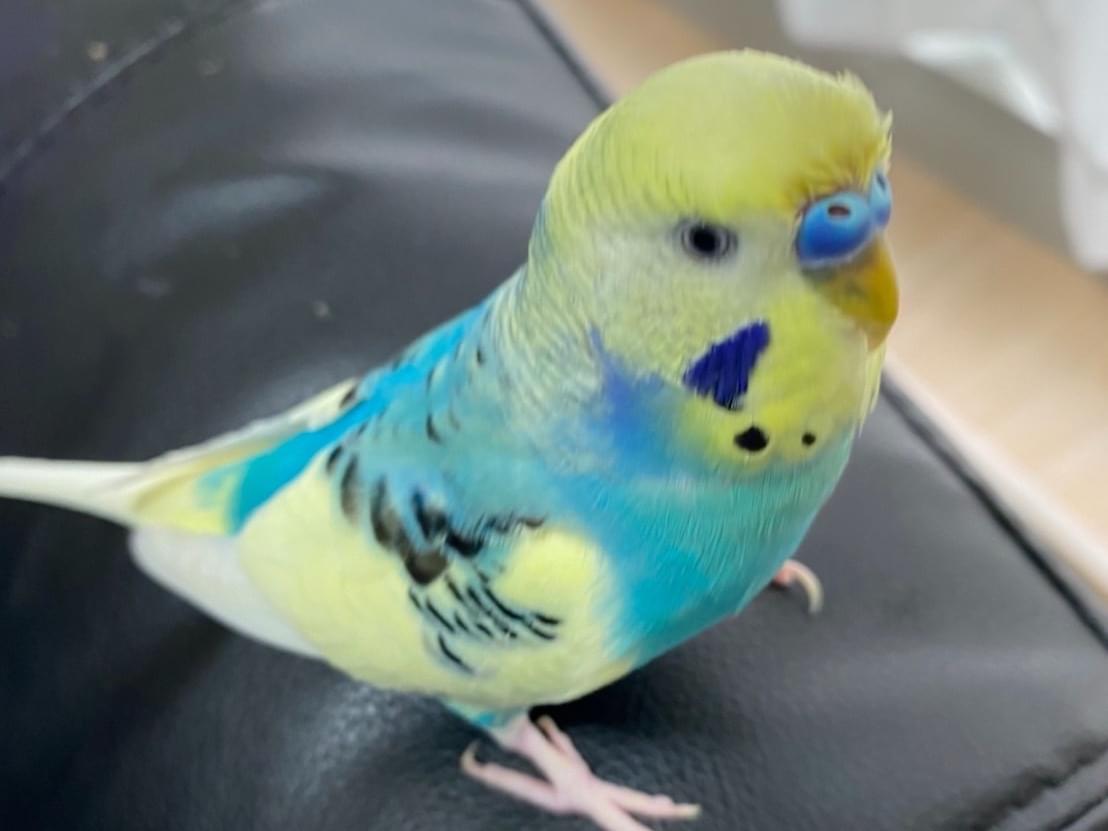 こうちゃん こうちゃん