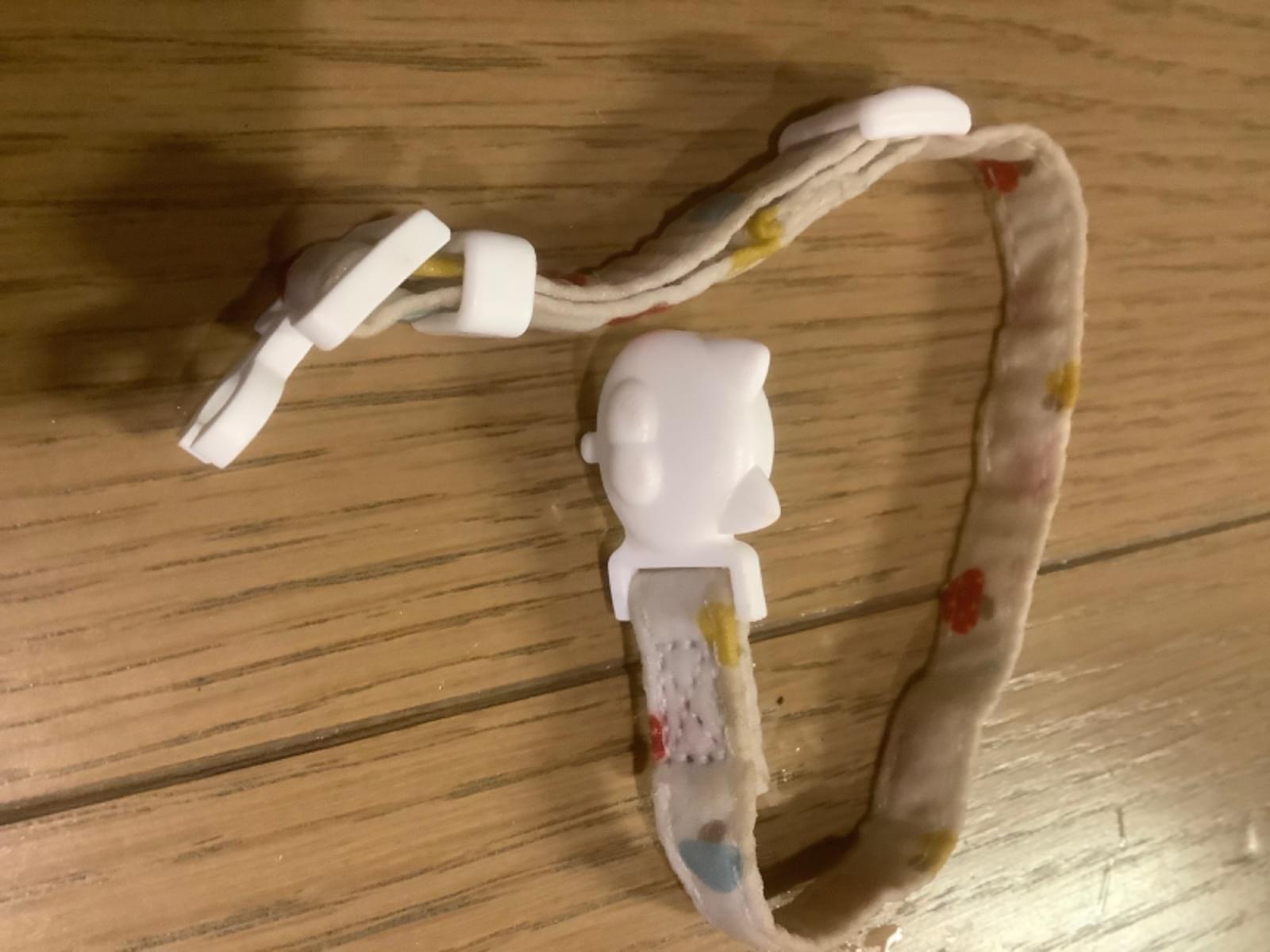 目撃された猫 目撃された猫