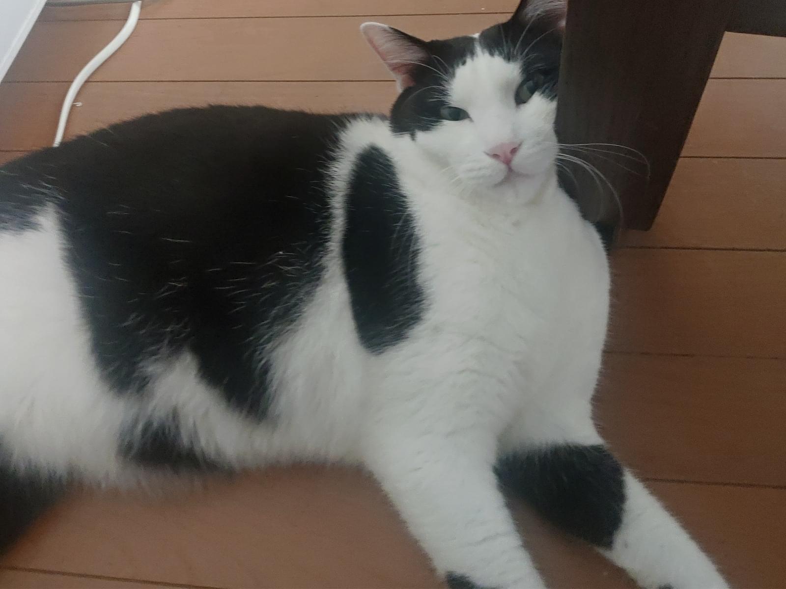 うっしーちゃん うっしーちゃん