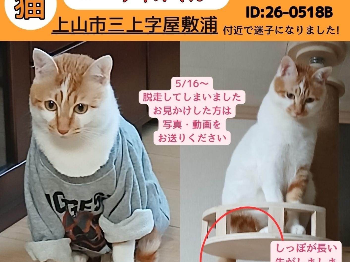 ディオちゃん