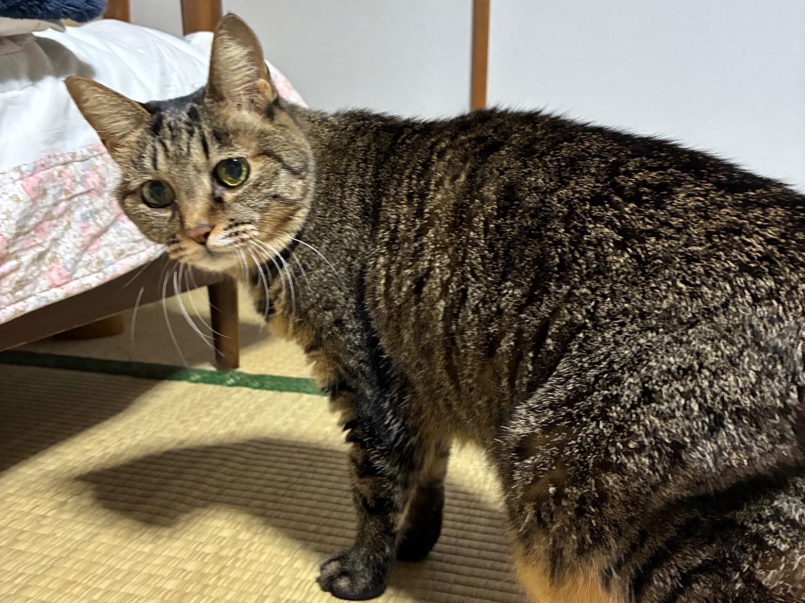 ちよちゃん