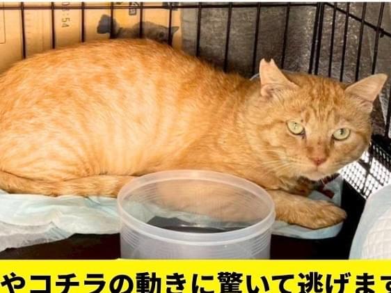 ふーちゃん ふーちゃん