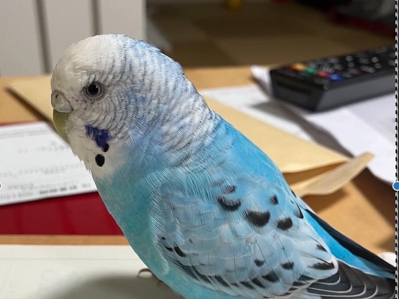 エリちゃん エリちゃん