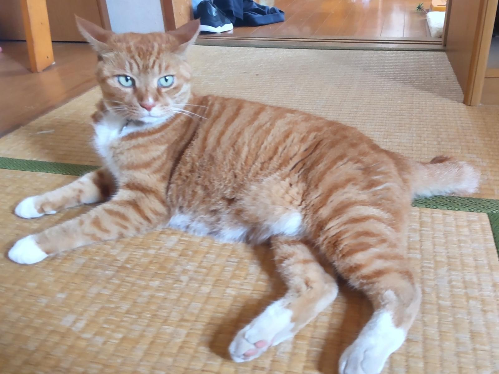 つばさちゃん つばさちゃん
