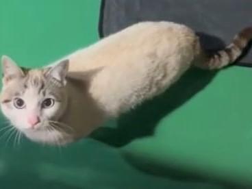 みーたちゃん みーたちゃん