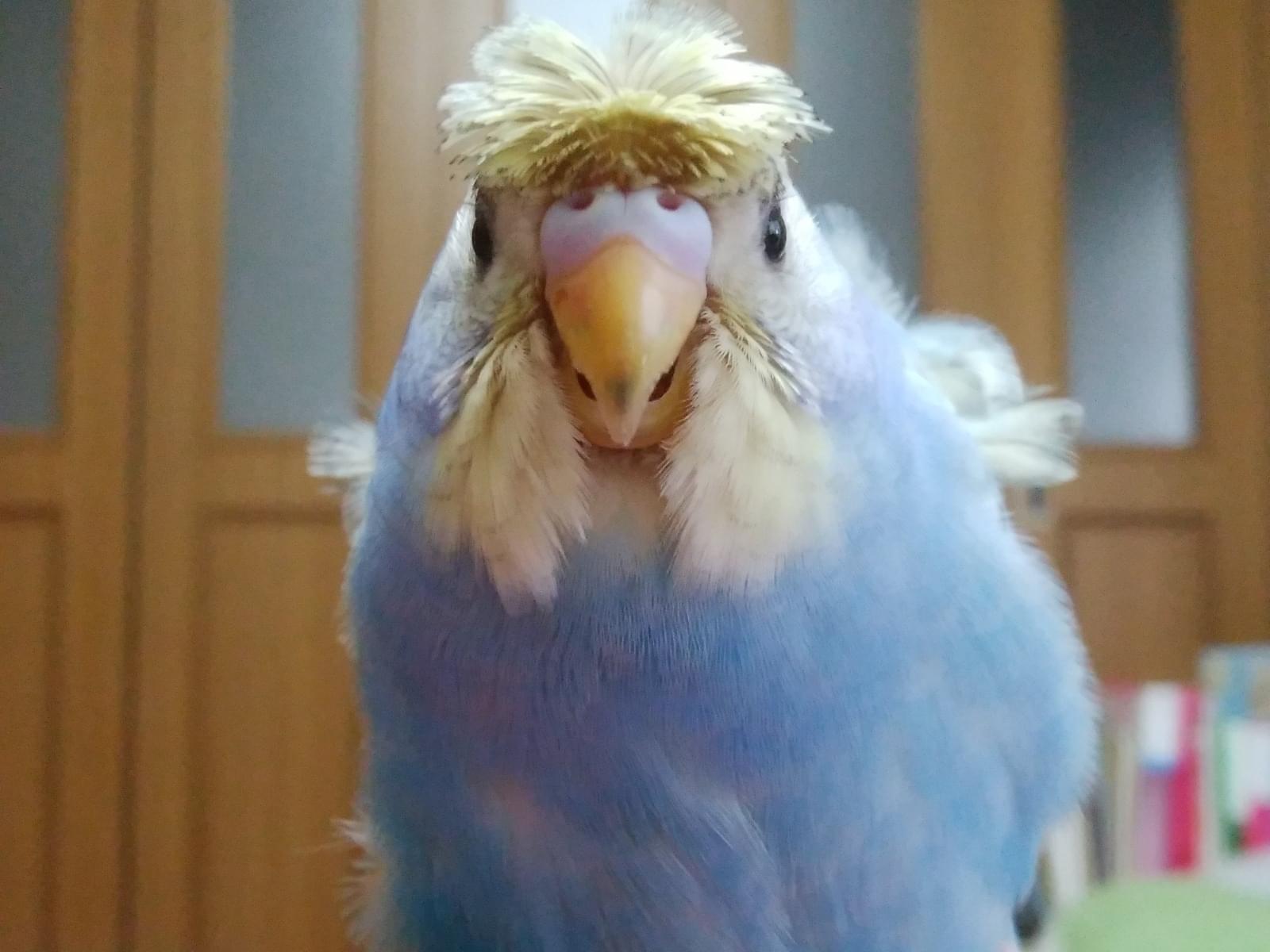 クーちゃん クーちゃん