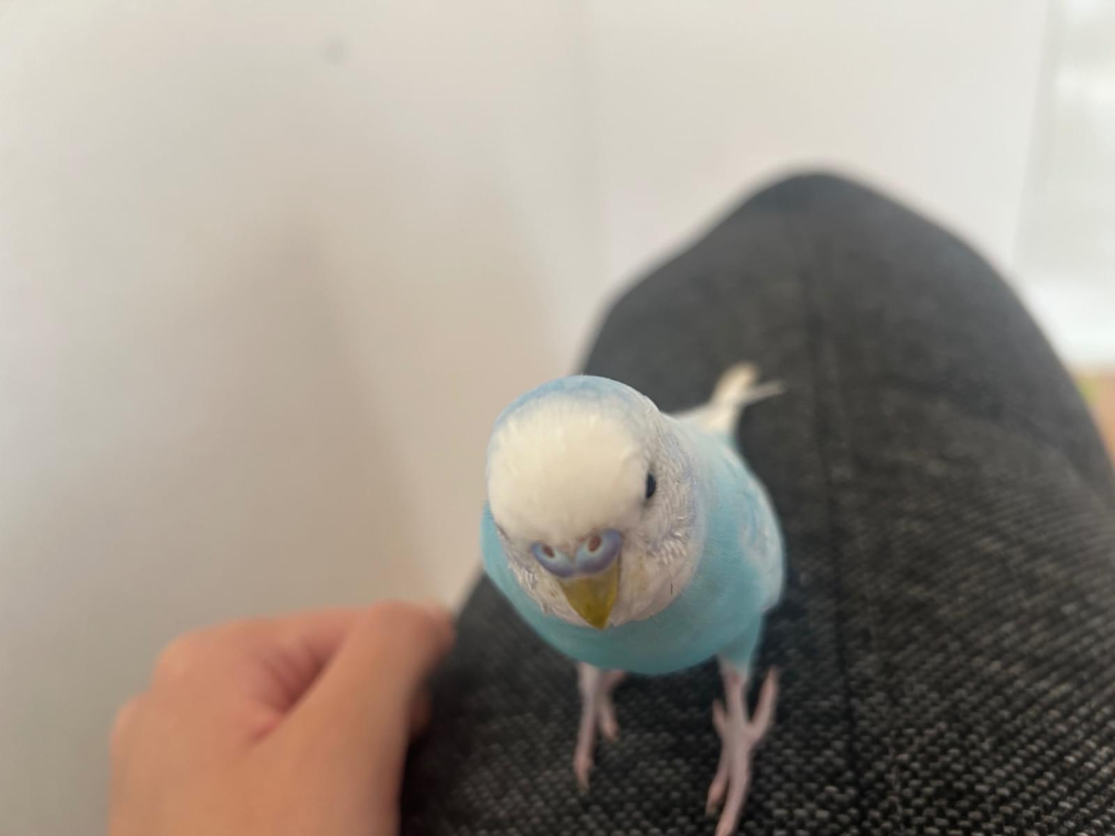 そらちゃん そらちゃん