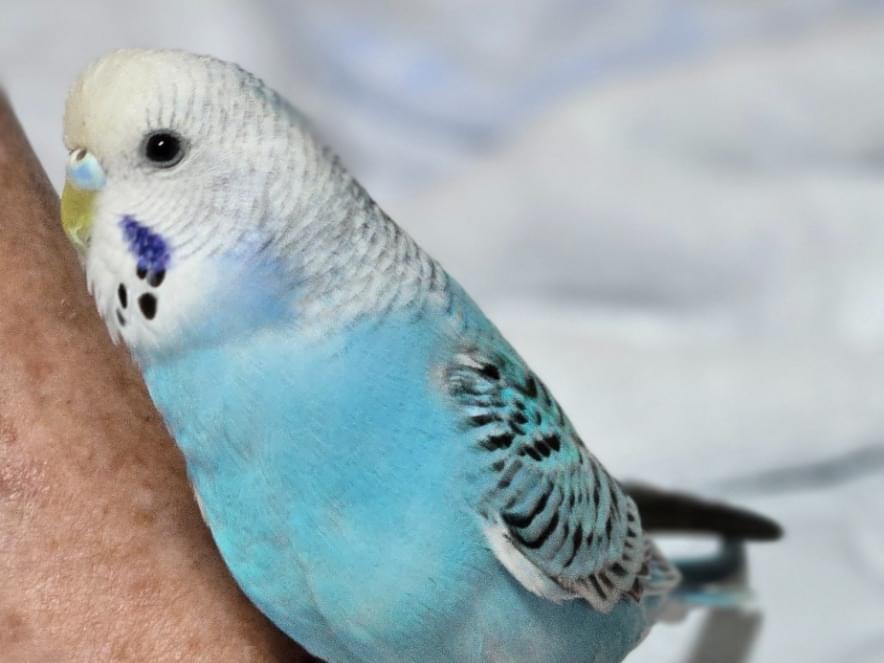 ゆうちゃん ゆうちゃん