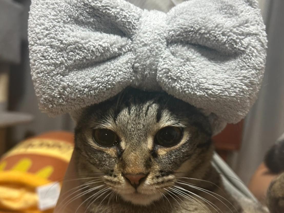 まめちゃん まめちゃん