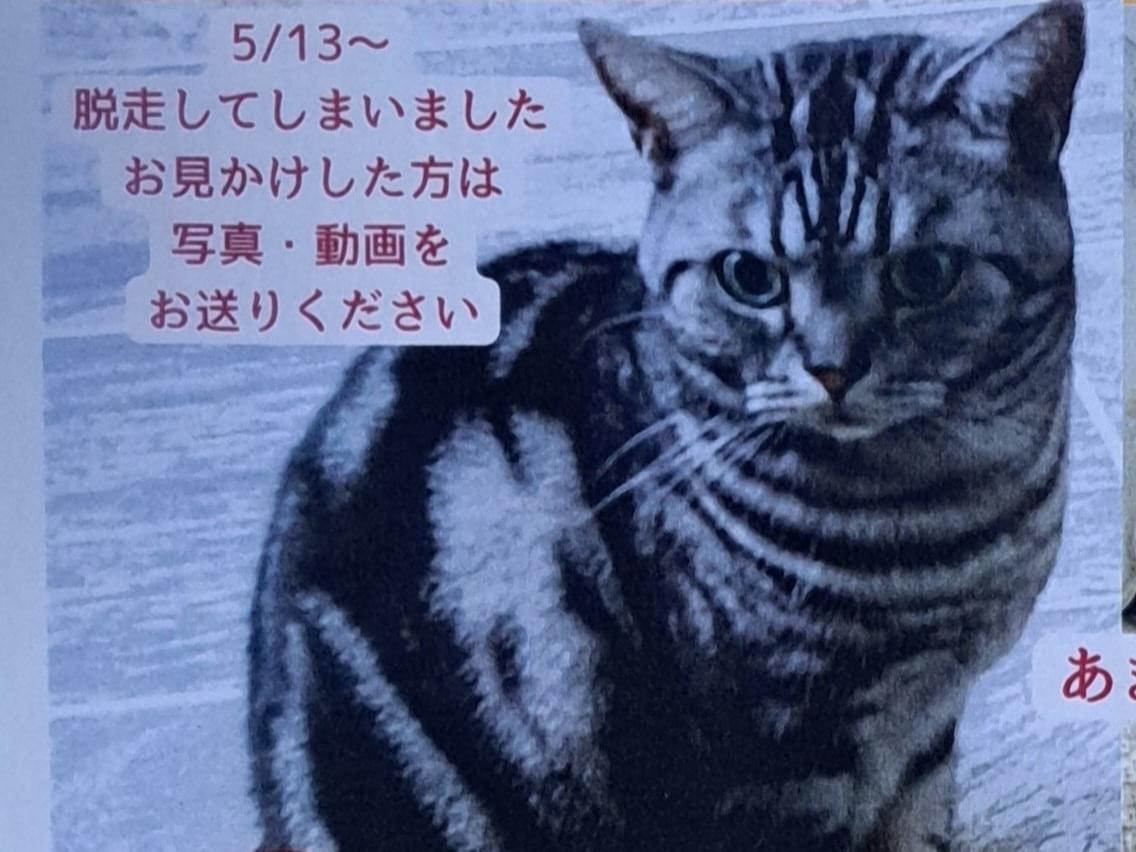 みーちゃん