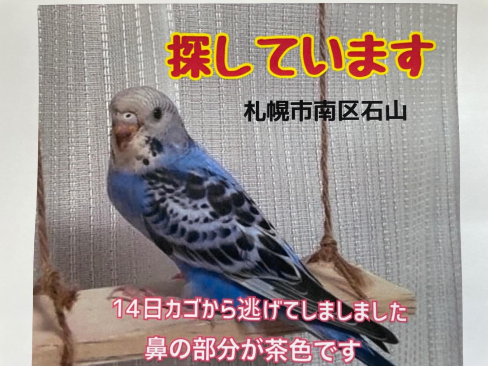 ポピちゃん ポピちゃん