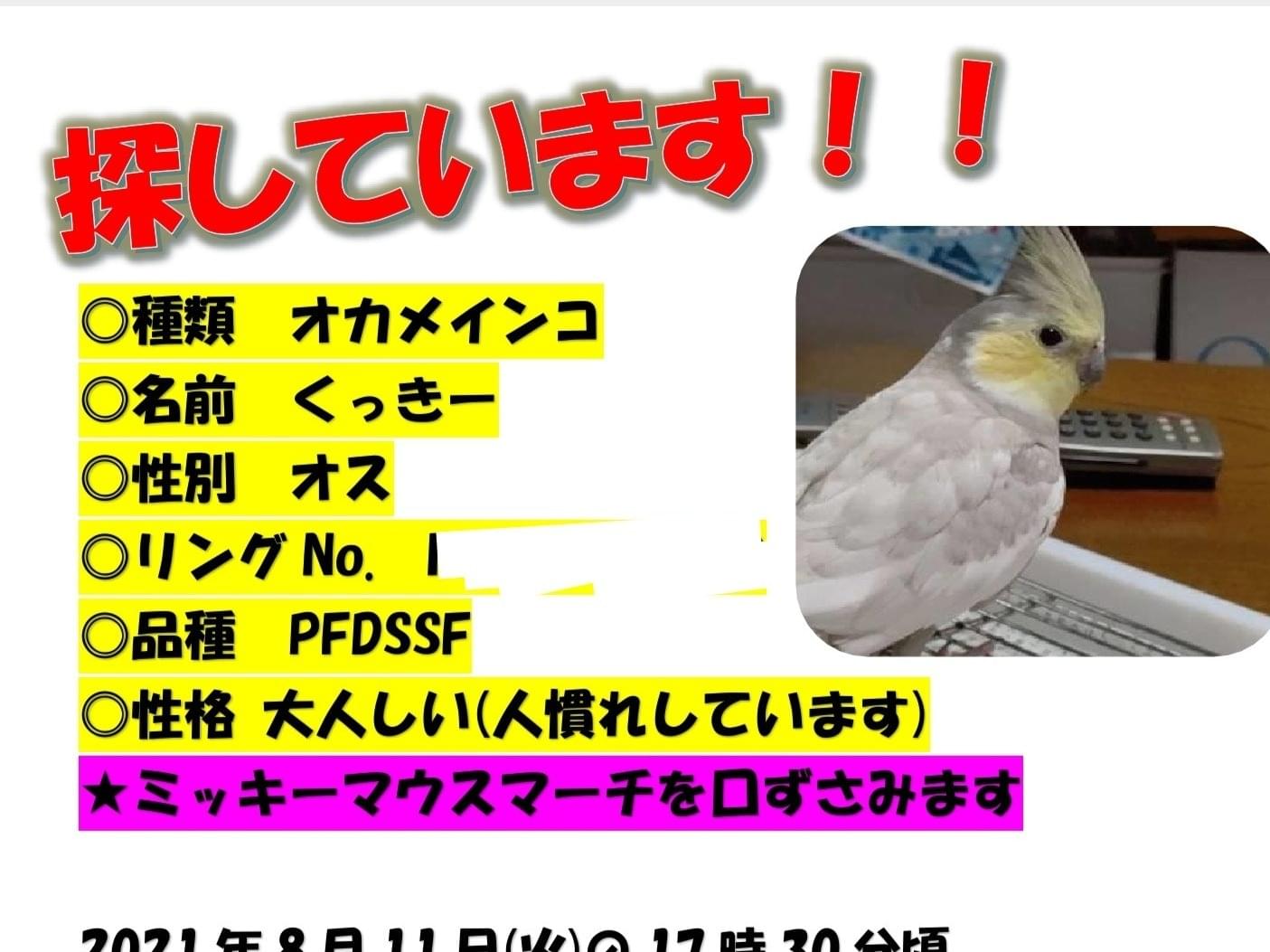 くっきーちゃん くっきーちゃん
