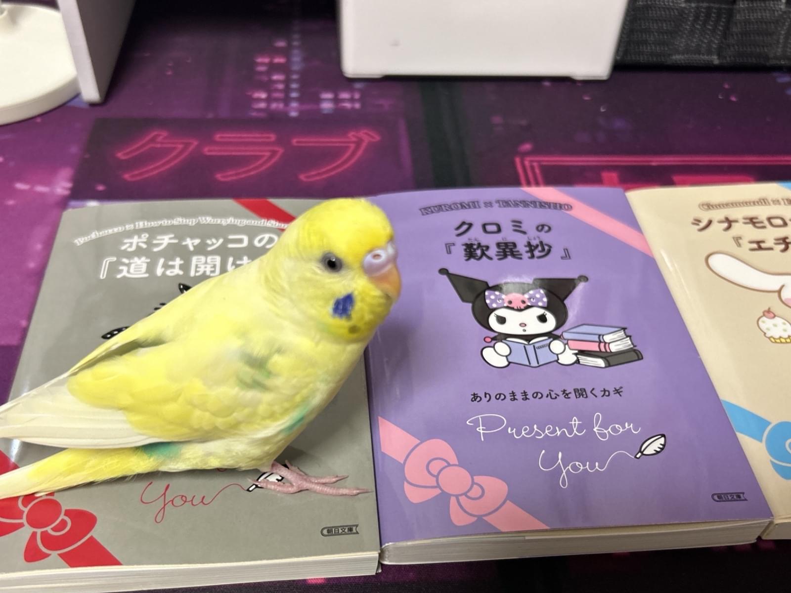 ぽぽちゃん ぽぽちゃん