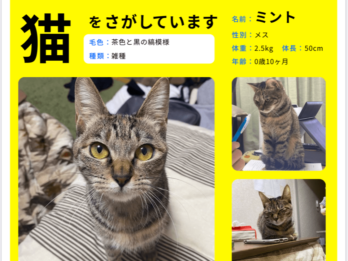 みんとちゃん みんとちゃん