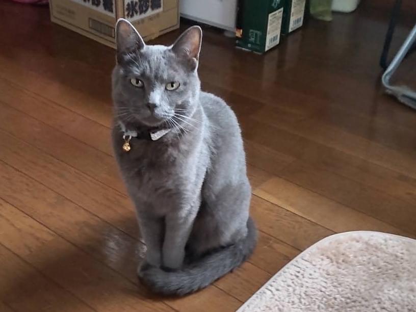 るなちゃん るなちゃん
