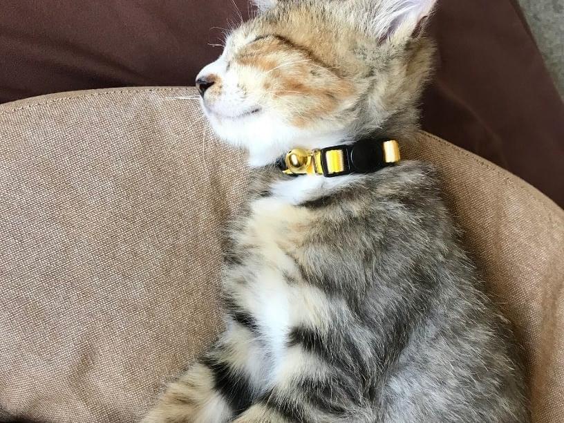 タケルちゃん タケルちゃん