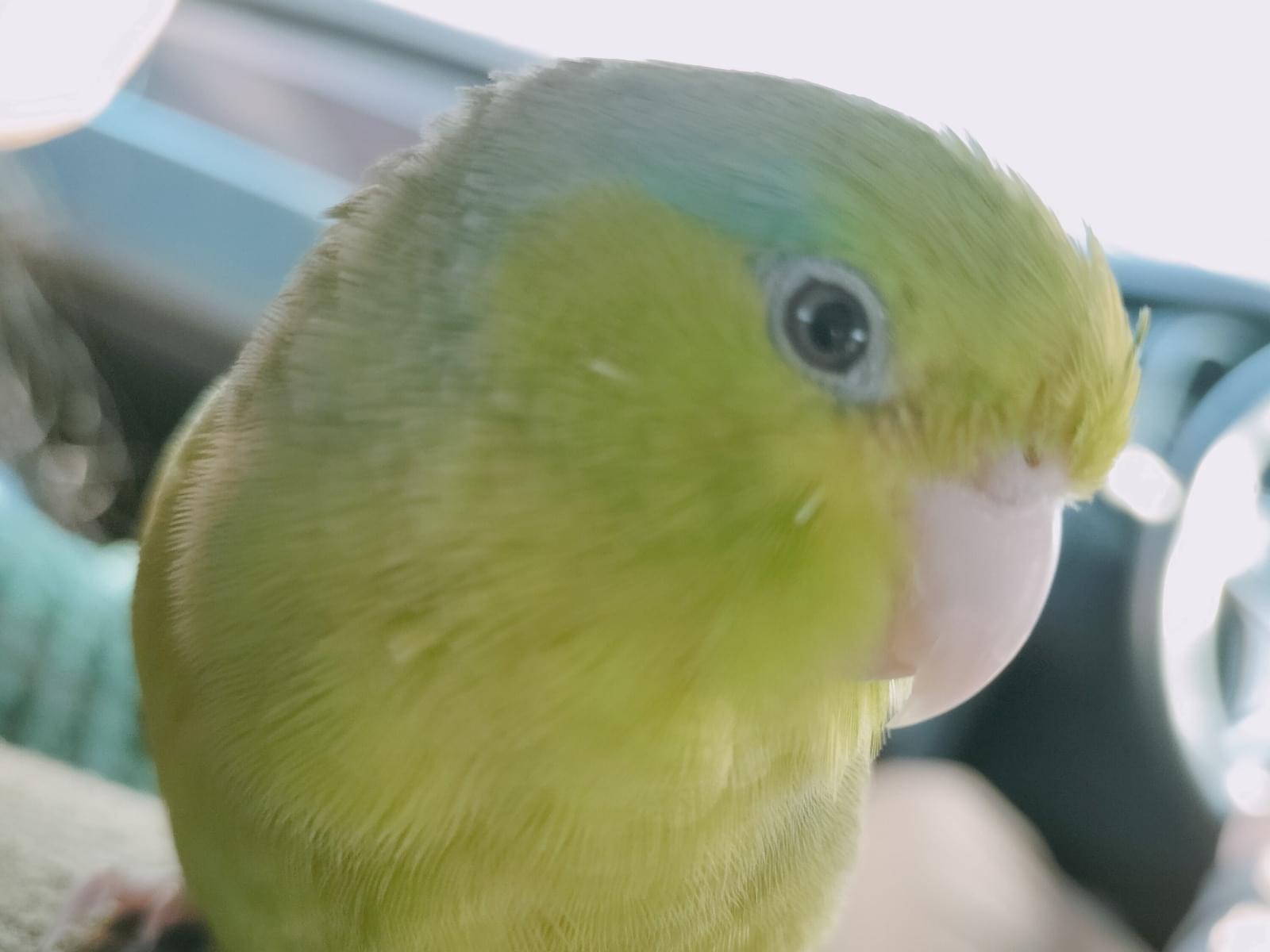 のびちゃん のびちゃん