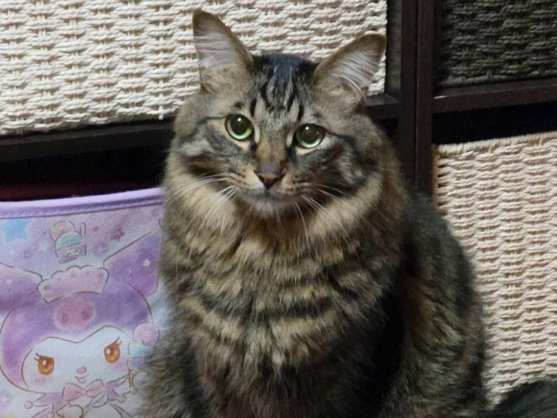 官兵衛ちゃん 官兵衛ちゃん