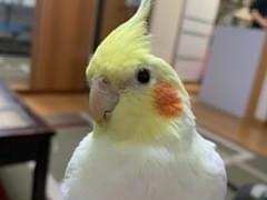 バーニーちゃん バーニーちゃん